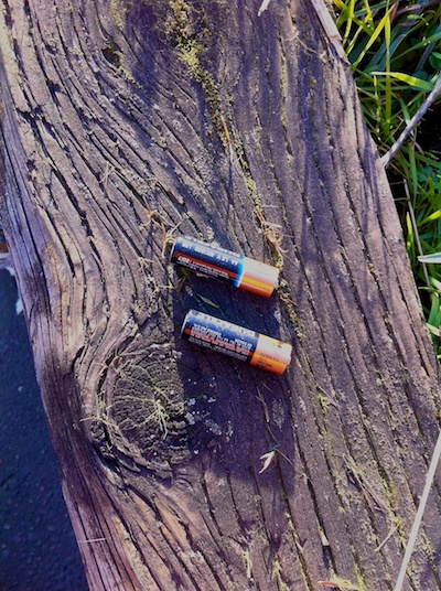 Roadside finds whiskey batteries 2
